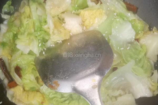 干煸手撕包菜的做法图解6