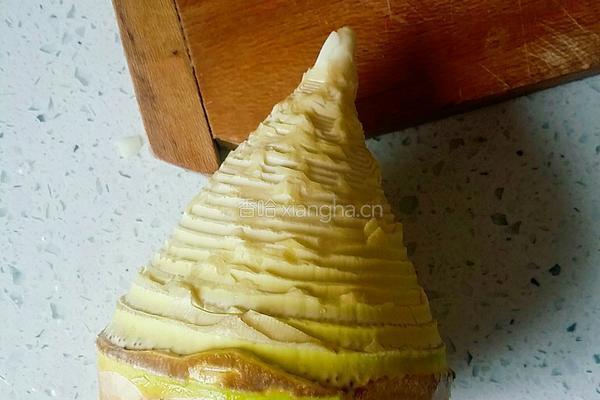油焖冬笋的做法图解2