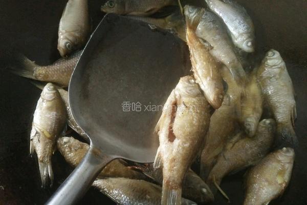 辣椒炒小鱼的做法图解8