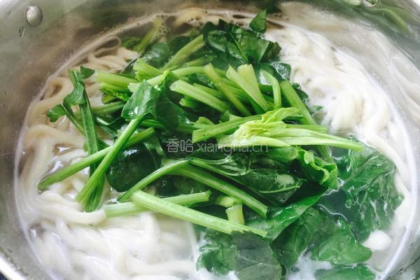 油泼扯面的做法图解11