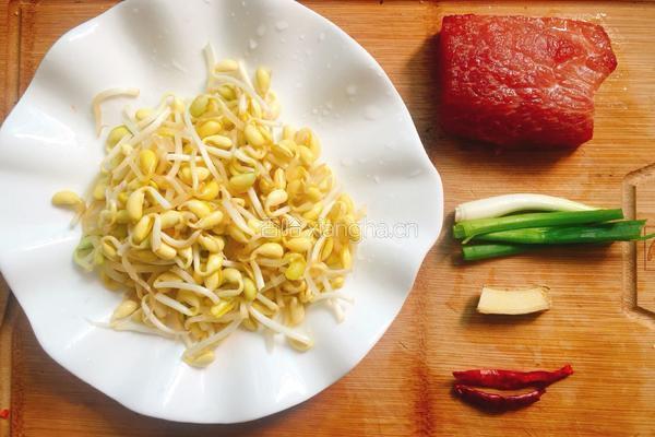黄豆芽炒肉的做法图解1