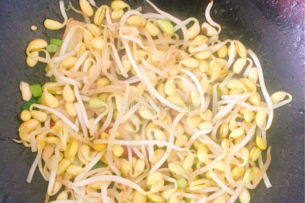 黄豆芽炒肉的做法图解8