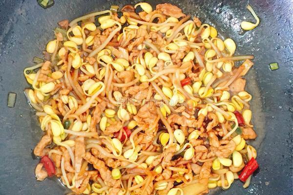 黄豆芽炒肉的做法图解12