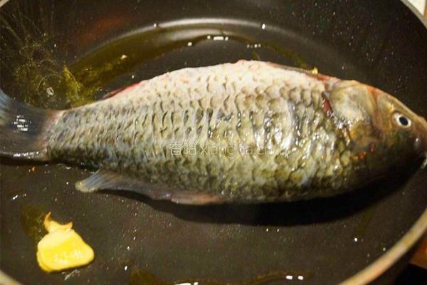 鲫鱼豆腐汤的做法图解3
