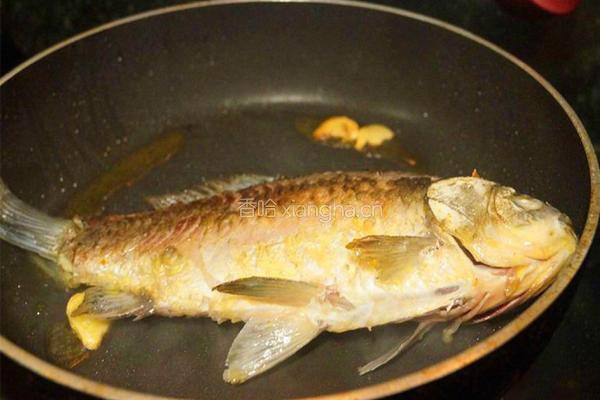 鲫鱼豆腐汤的做法图解4