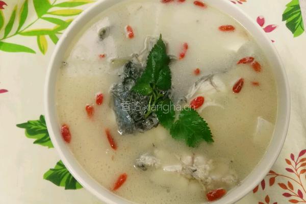 石斑鱼豆腐汤