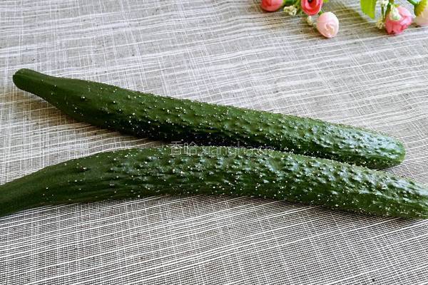 清炒黄瓜片的做法图解1