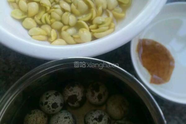 鹌鹑蛋白果陈皮甜汤的做法图解1
