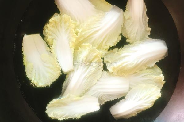 蛤蜊炝白菜的做法图解4