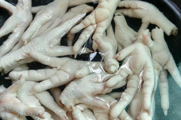红烧辣味鸡爪的做法图解1