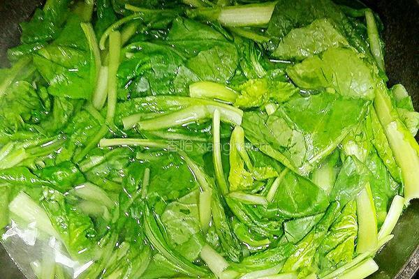 馄饨馅之青菜鲜肉的做法图解8