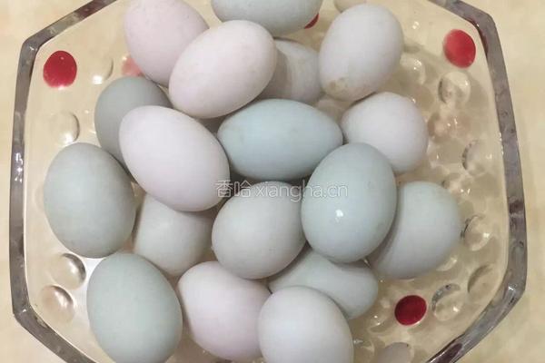 自制咸鸭蛋的做法图解1
