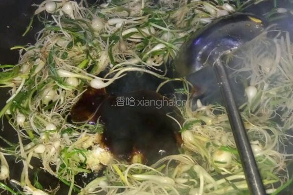芊蔴蒜炒鸡蛋的做法图解16