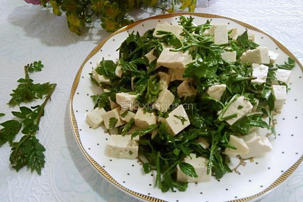 花椒芽拌豆腐的做法图解6