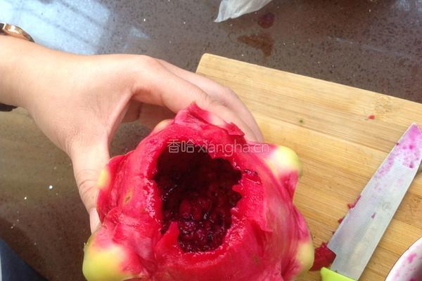 火龙果酸奶的做法图解4