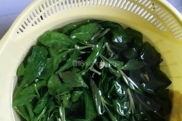 香拌马兰头的做法图解1