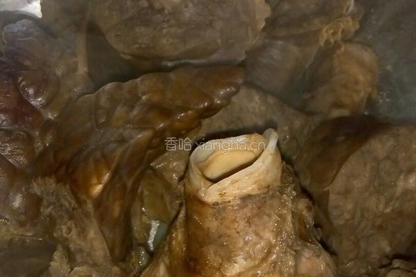 冷切蒜泥猪肺子的做法图解10