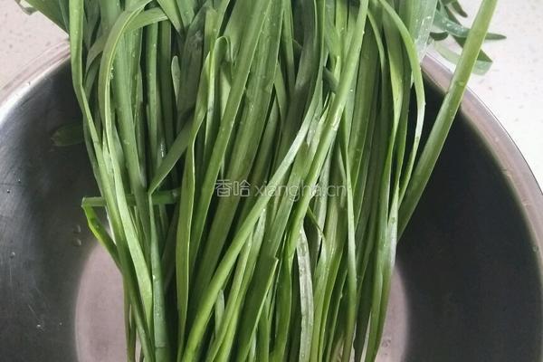 韭菜鸡蛋馅饼的做法图解1
