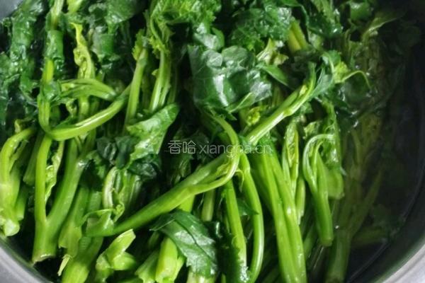 炝芥菜叶的做法图解1
