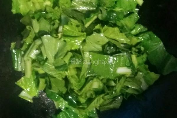蒜香小白菜的做法图解3