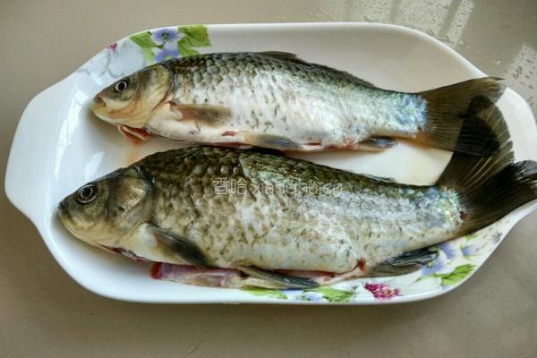 米浆鲫鱼豆腐汤的做法图解1