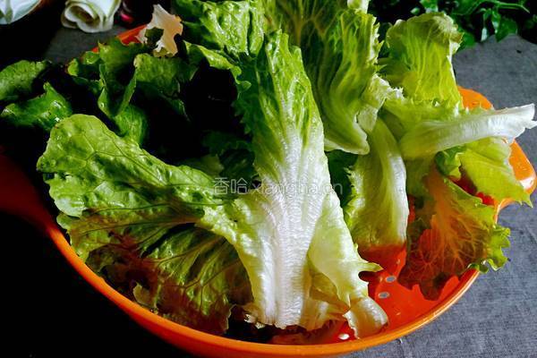 炝炒生菜的做法图解1
