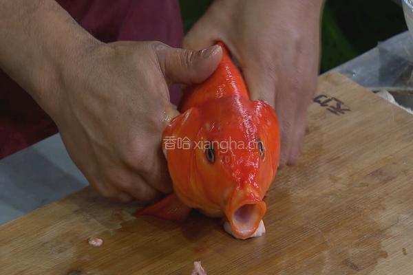 荷包红鲤鱼 CCTV7食尚大转盘的做法图解4