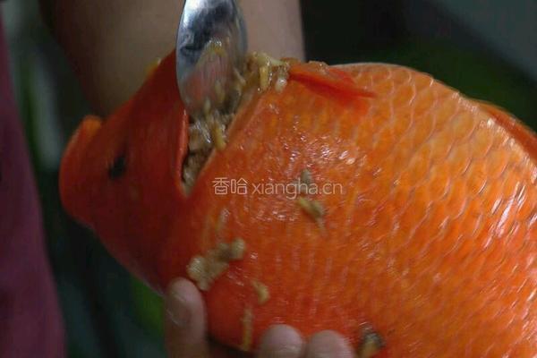 荷包红鲤鱼 CCTV7食尚大转盘的做法图解12