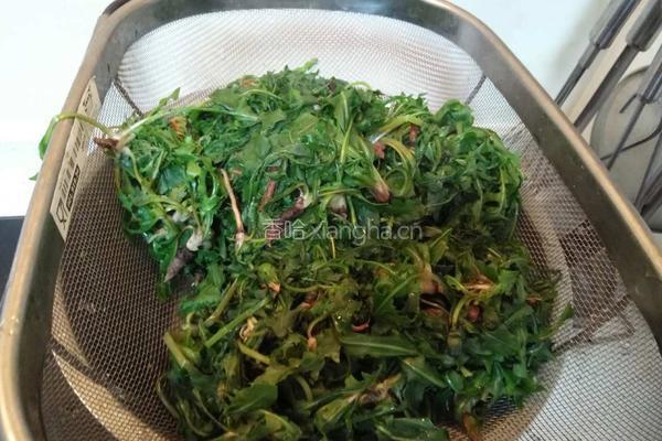 蒲公英茶的制作的做法图解3