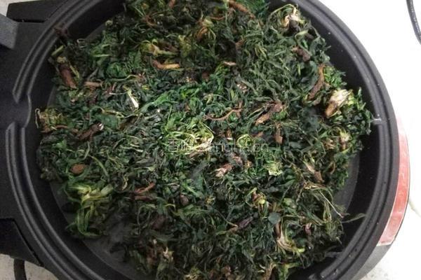 蒲公英茶的制作的做法图解5