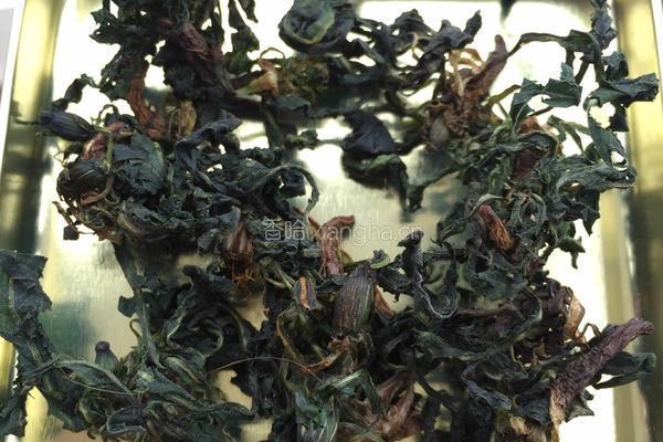 蒲公英茶的制作的做法图解6