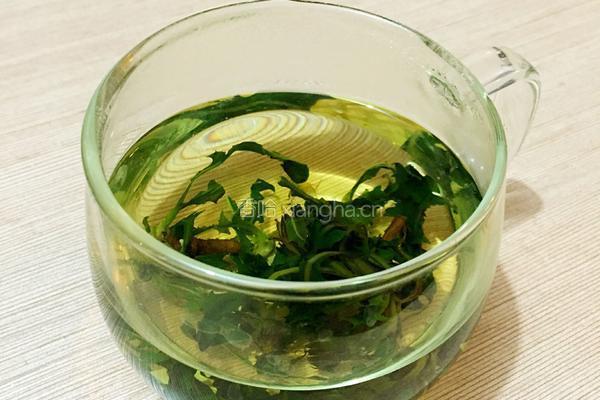 蒲公英茶的制作的做法图解7