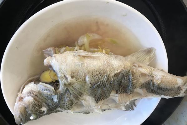 川味泡菜清蒸鲈鱼的做法图解5