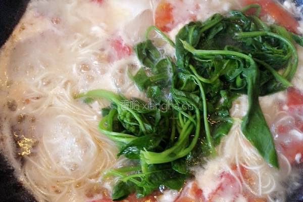西红柿菠菜鸡蛋面的做法图解11