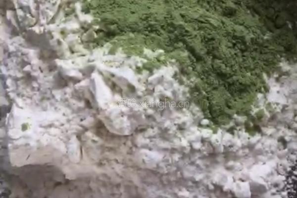 蝴蝶面（青汁）的做法图解1