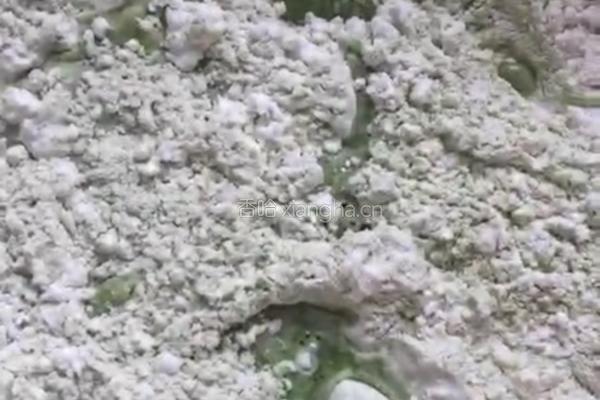 蝴蝶面（青汁）的做法图解2