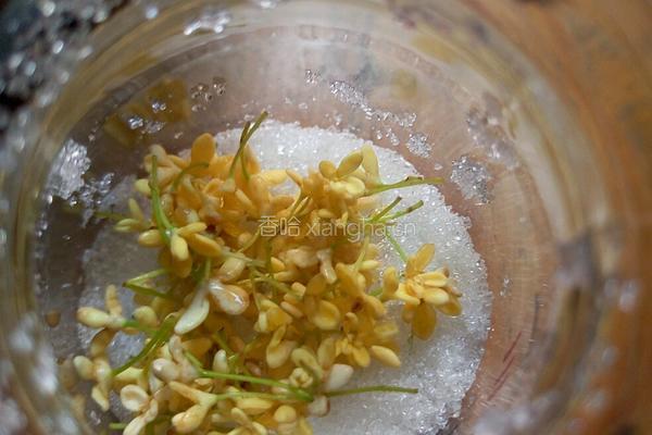 糖桂花的做法图解11