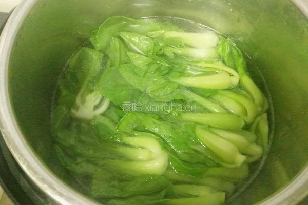 白灼上海清的做法图解4