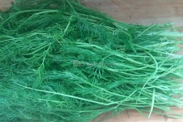 茴香猪肉馅饺子的做法图解2