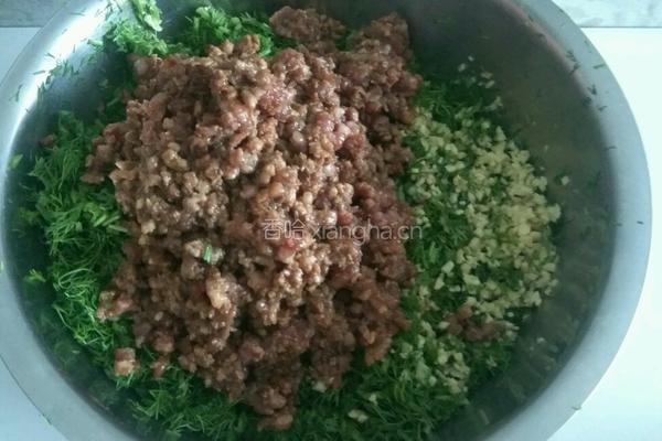 茴香猪肉馅饺子的做法图解8