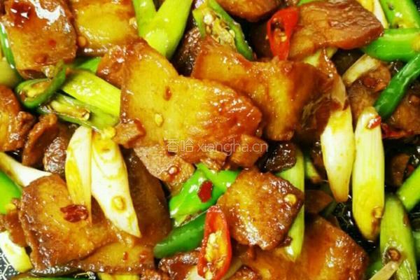 家庭版回锅肉的做法图解6