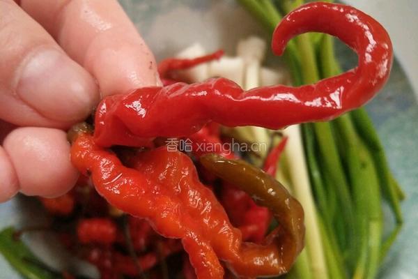 酸辣肥肠的做法图解4