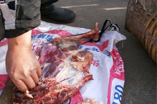 麻辣羊肉的做法图解2