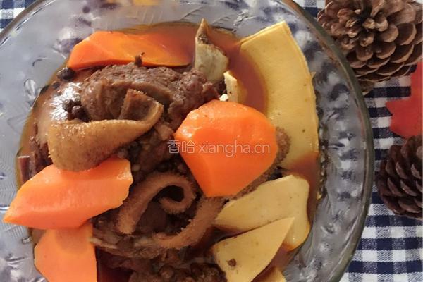 麻辣羊肉的做法图解10