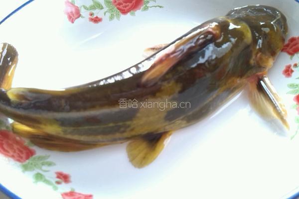 黄辣丁平菇豆腐汤的做法图解1