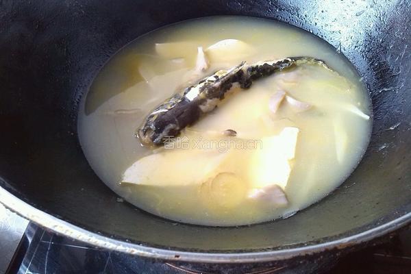 黄辣丁平菇豆腐汤的做法图解10
