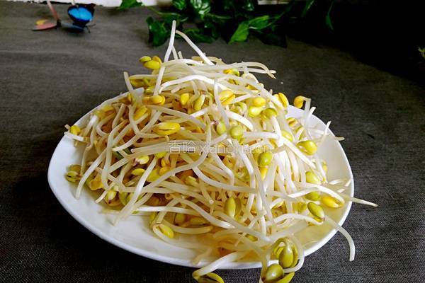 青蒜炒黄豆芽的做法图解2