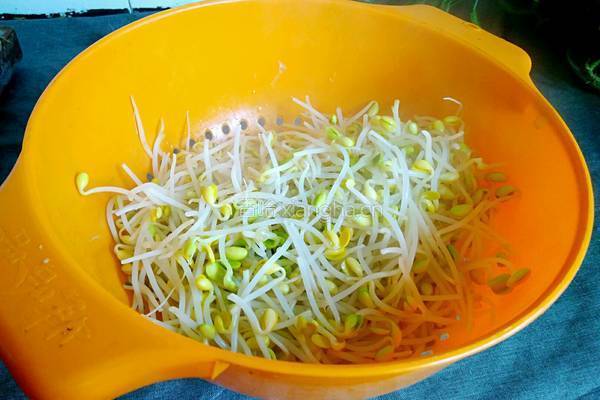 青蒜炒黄豆芽的做法图解5
