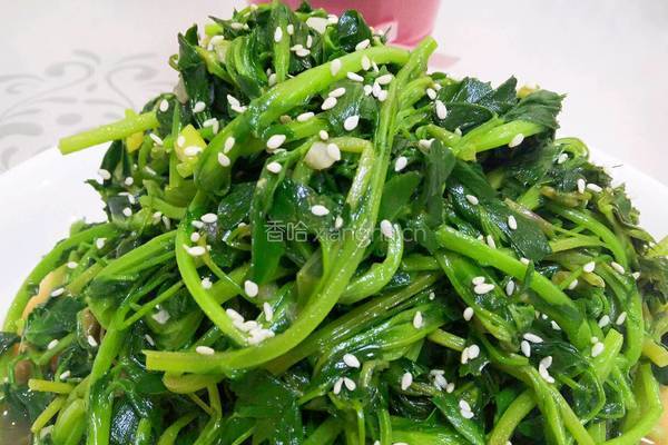 凉拌苜蓿的做法图解10