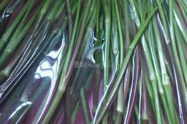 野芹菜炒牛肉的做法图解2